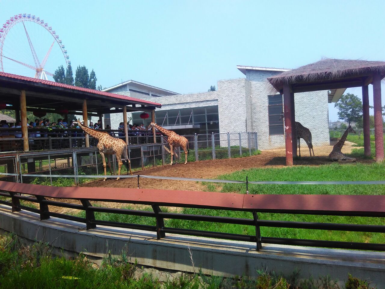石家庄市动物园