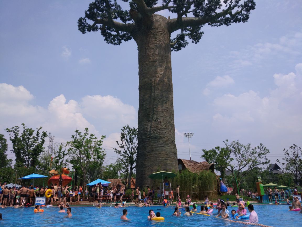 苏州乐园森林水世界