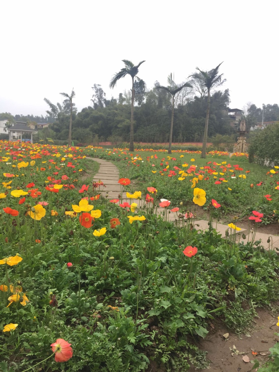 泸县龙桥百花洲攻略,泸县龙桥百花洲门票/游玩攻略/地址/图片/门票