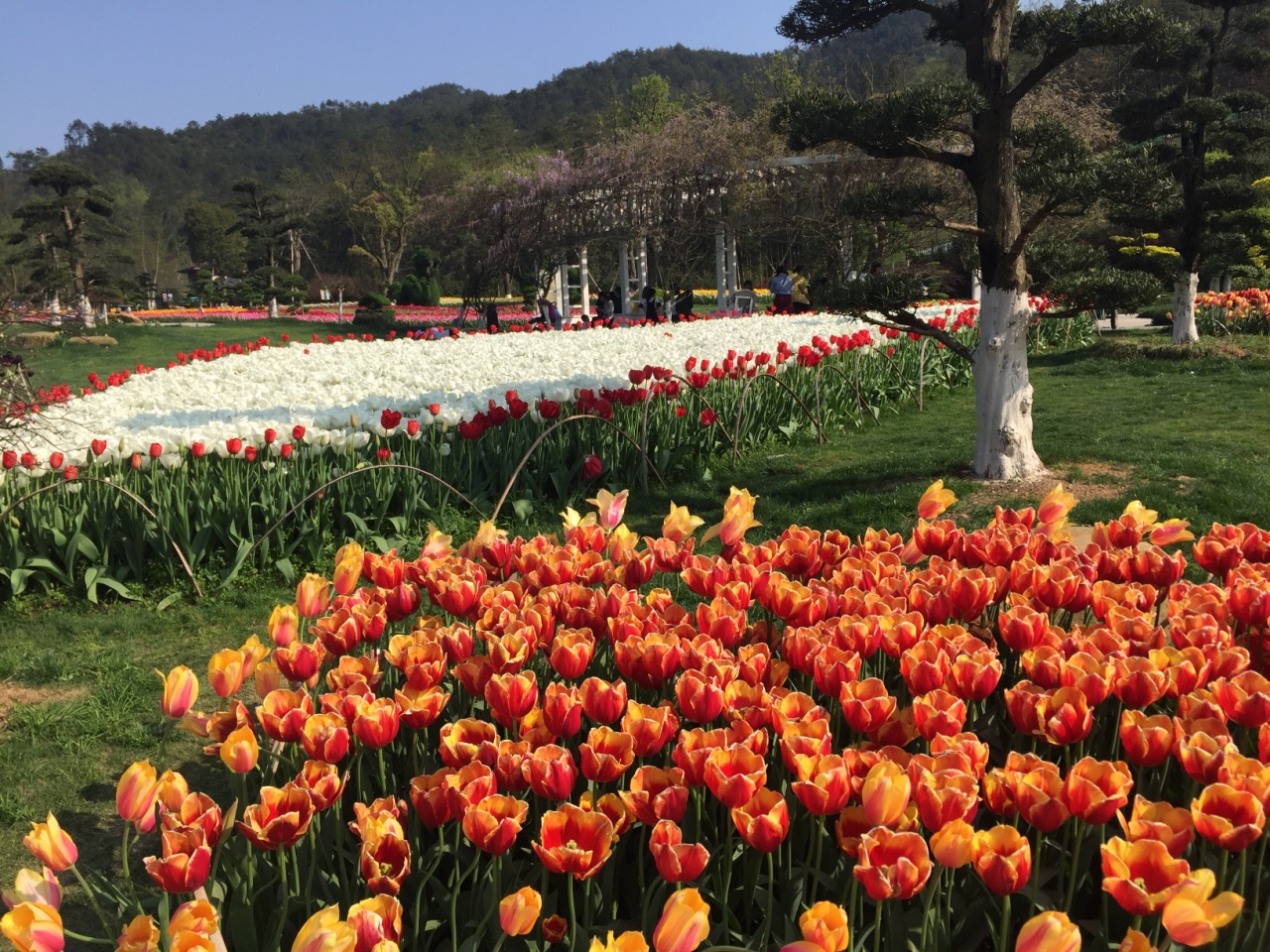 东钱湖南苑花博园