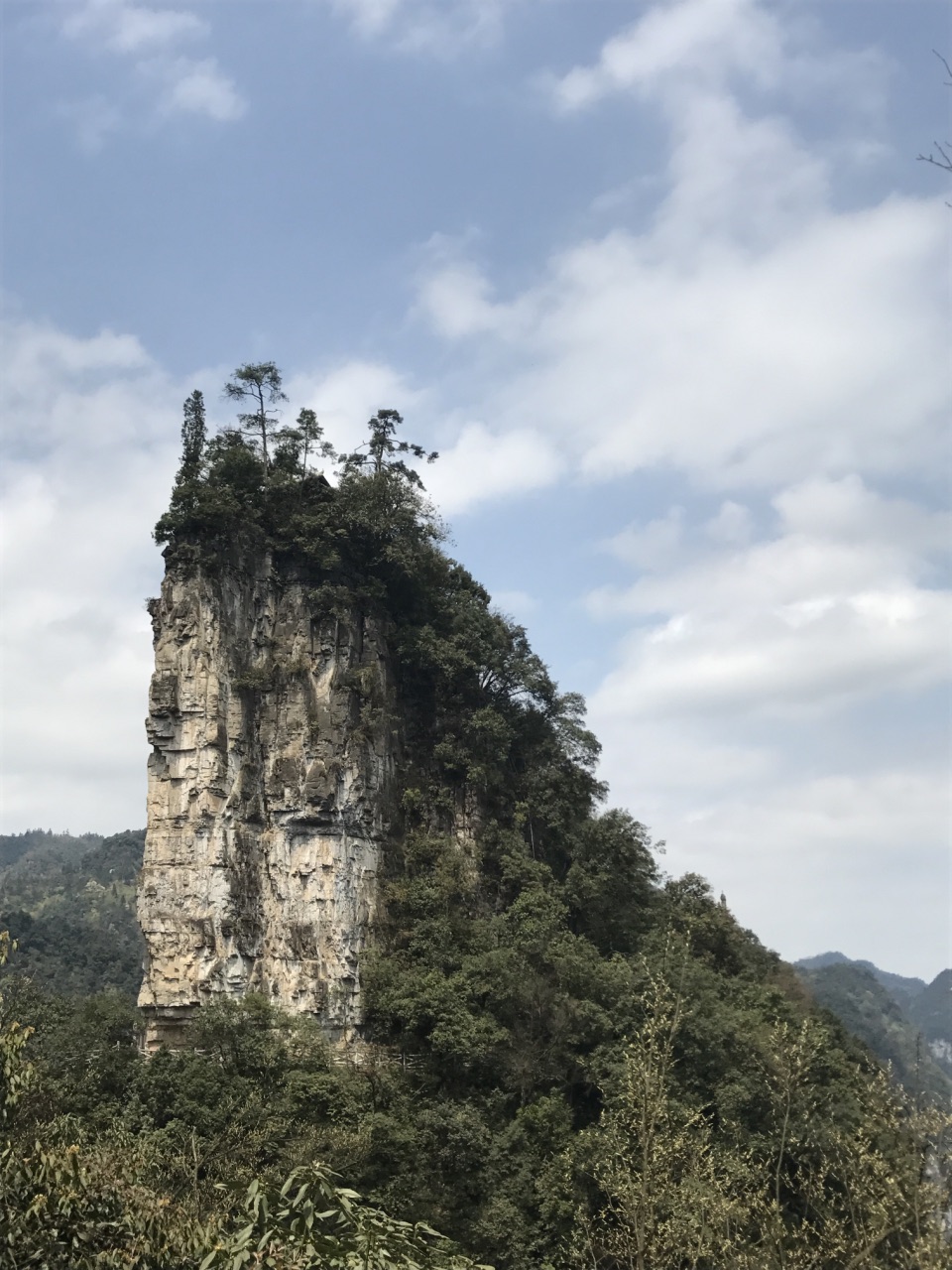 大方油杉河景區好玩嗎,大方油杉河景區景點怎麼樣_點評_評價【攜程