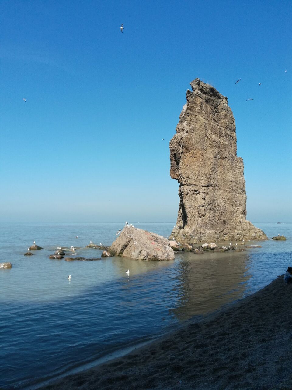 【攜程攻略】榮成海驢島好玩嗎,榮成海驢島景點怎麼樣_點評_評價