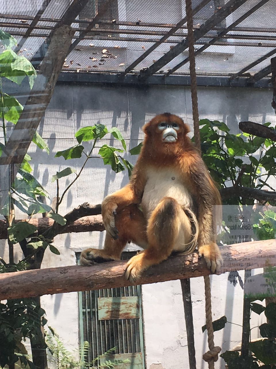 天津動物園