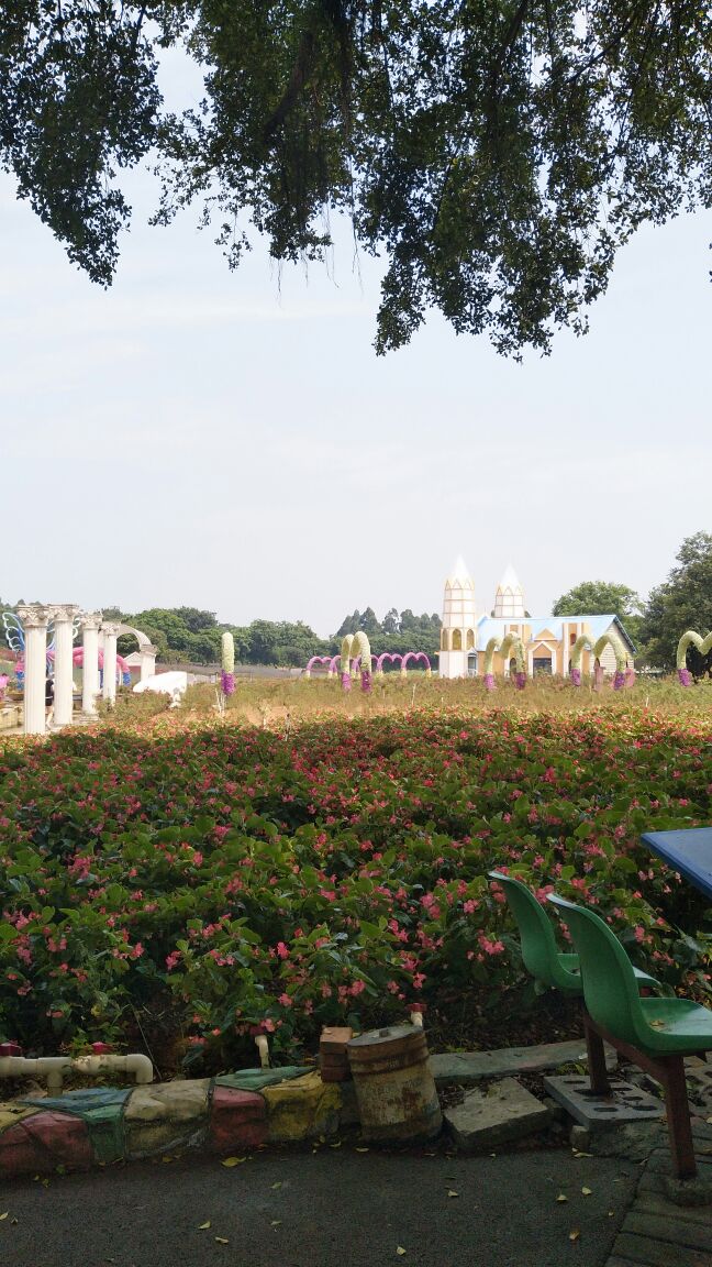 东莞梦幻百花洲好玩吗,东莞梦幻百花洲景点怎么样_点评_评价【携程