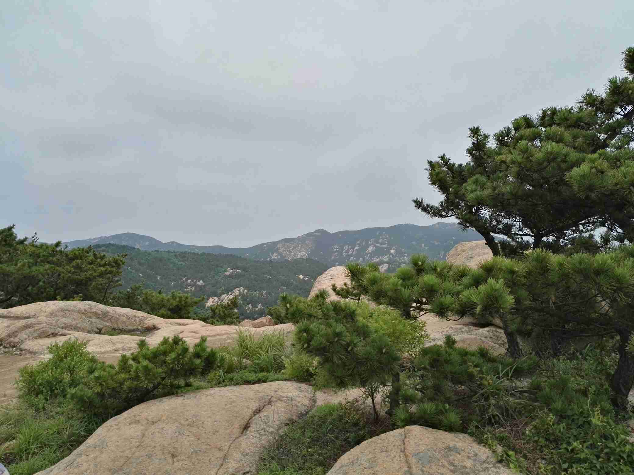 青岛仰口风景区 鹤山风景区一日游【大师出品 央视推荐崂山探奇之旅