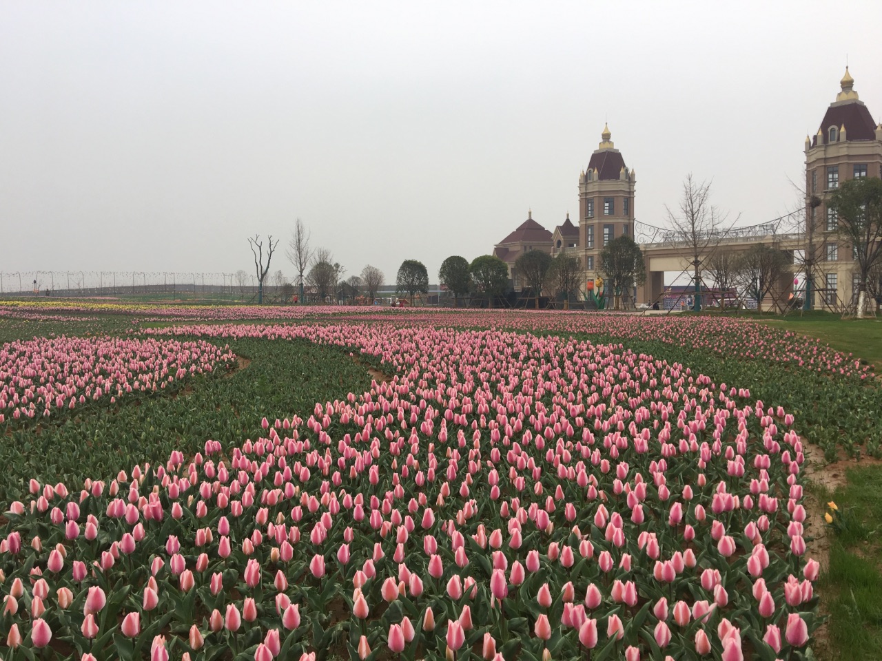 【攜程攻略】洛陽豪澤國際鬱金香花海歡樂城景點,新建景區,各種配套還