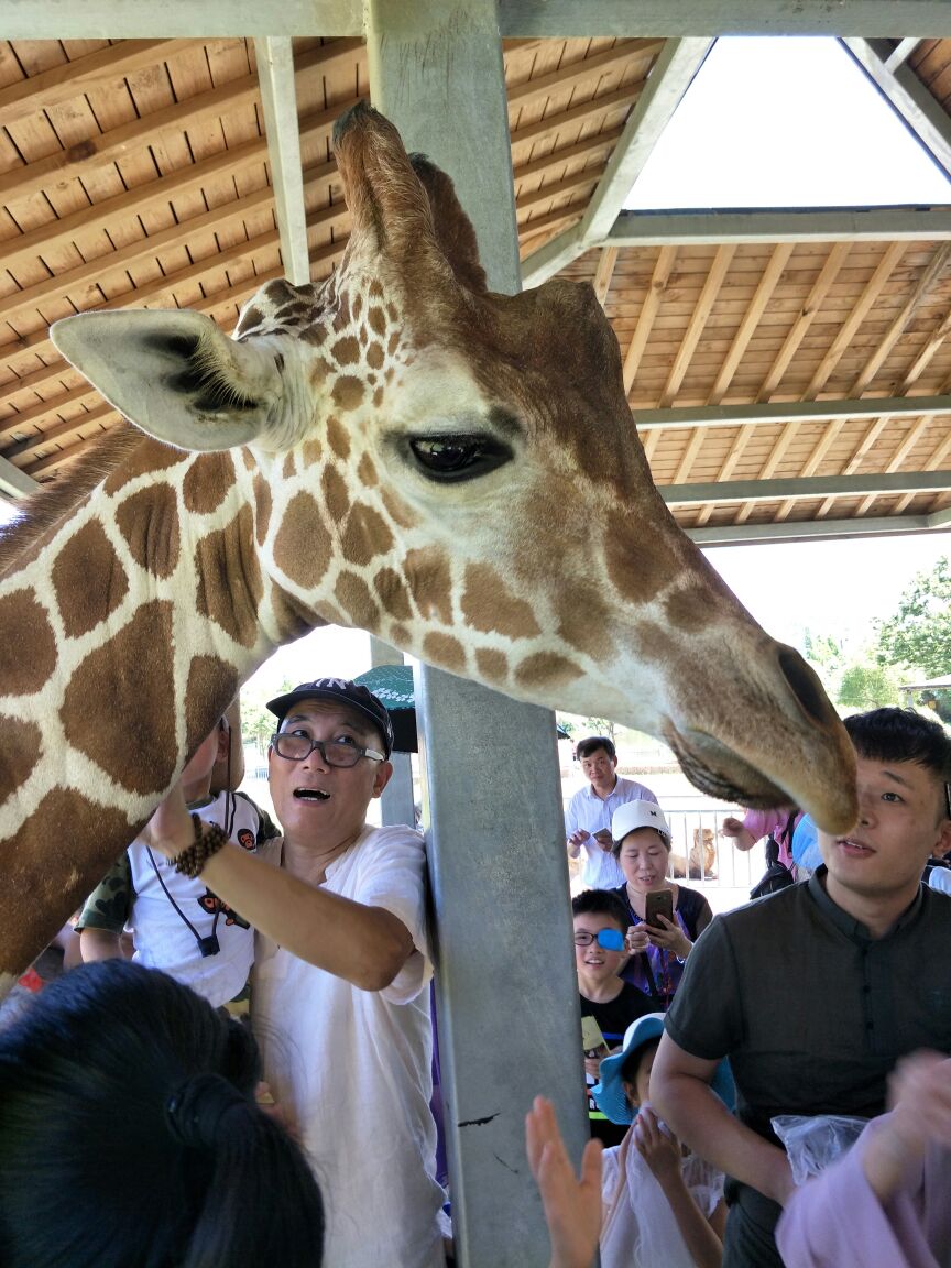 【攜程攻略】寧波雅戈爾動物園景點,也許今天是第一次來,孩子熱情高漲