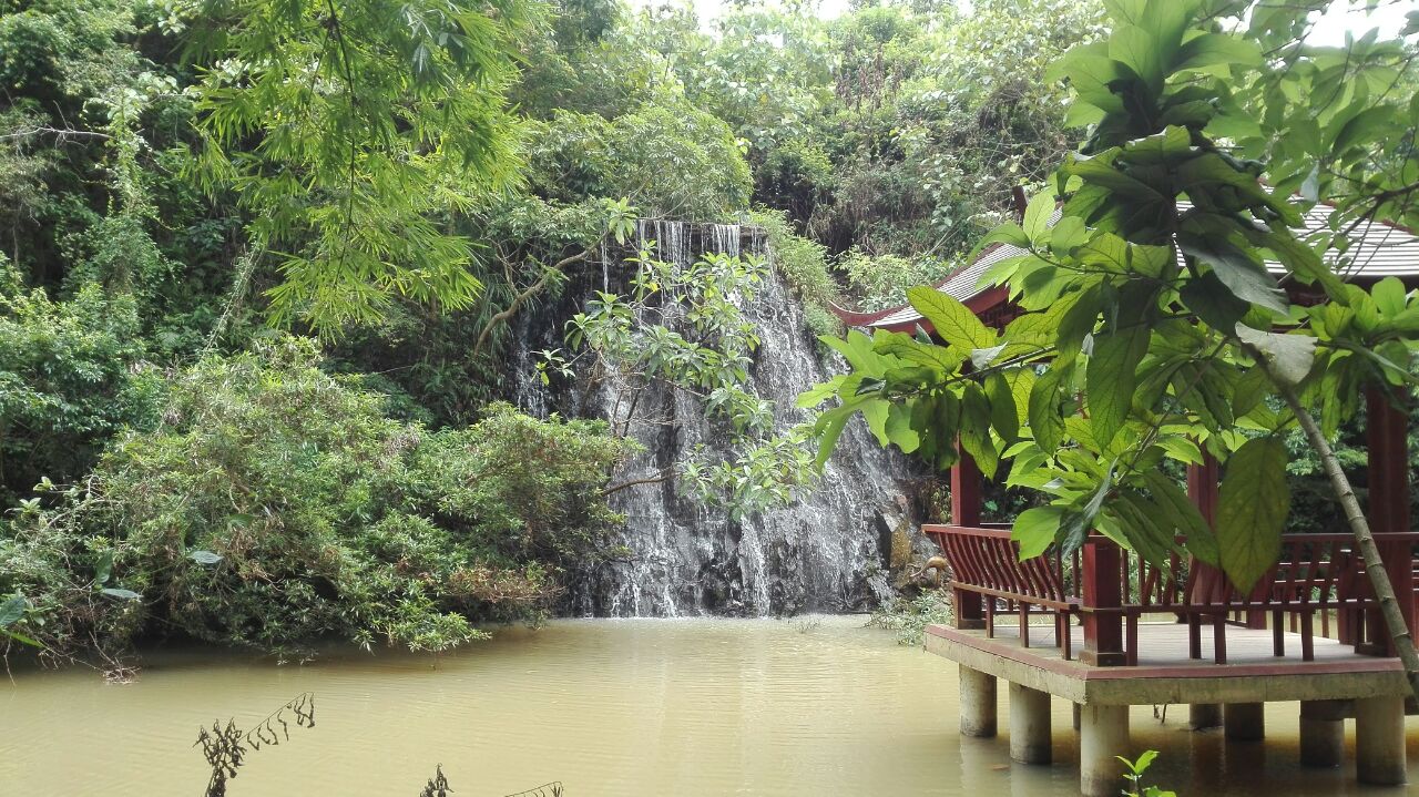 南寧鳳凰谷景區好玩嗎,南寧鳳凰谷景區景點怎麼樣_點評_評價【攜程