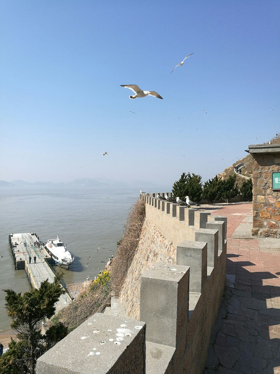 榮成海驢島好玩嗎,榮成海驢島景點怎麼樣_點評_評價【攜程攻略】