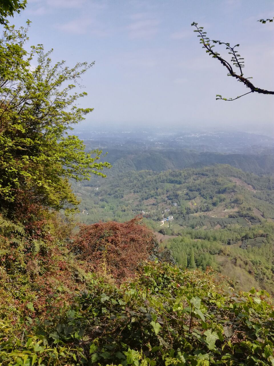 丹稜老峨山好玩嗎,丹稜老峨山景點怎麼樣_點評_評價【攜程攻略】