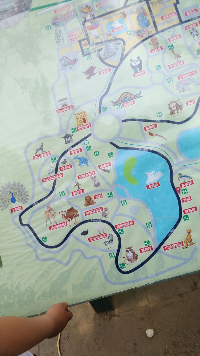 石家庄市动物园路线图图片