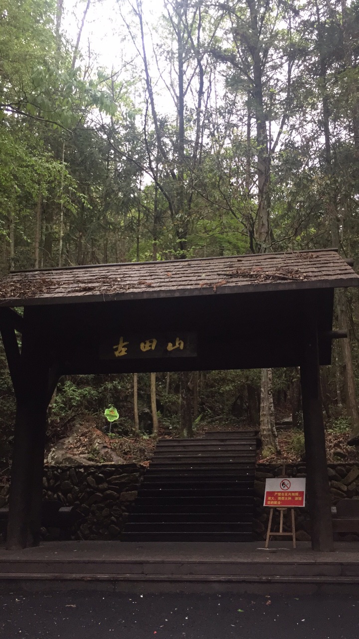 【携程攻略】开化古田山自然保护区好玩吗,开化古田山自然保护区景点