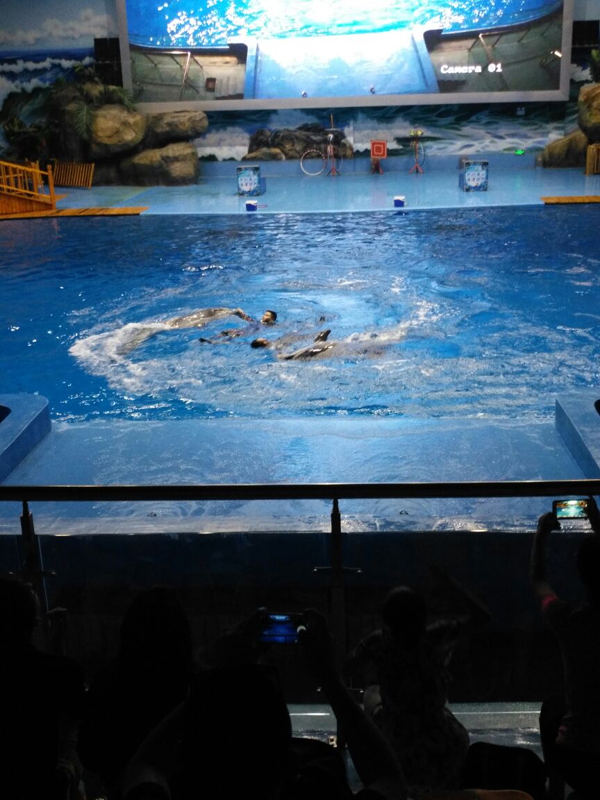 泰州溱湖海洋世界好玩吗,泰州溱湖海洋世界景点怎么样_点评_评价