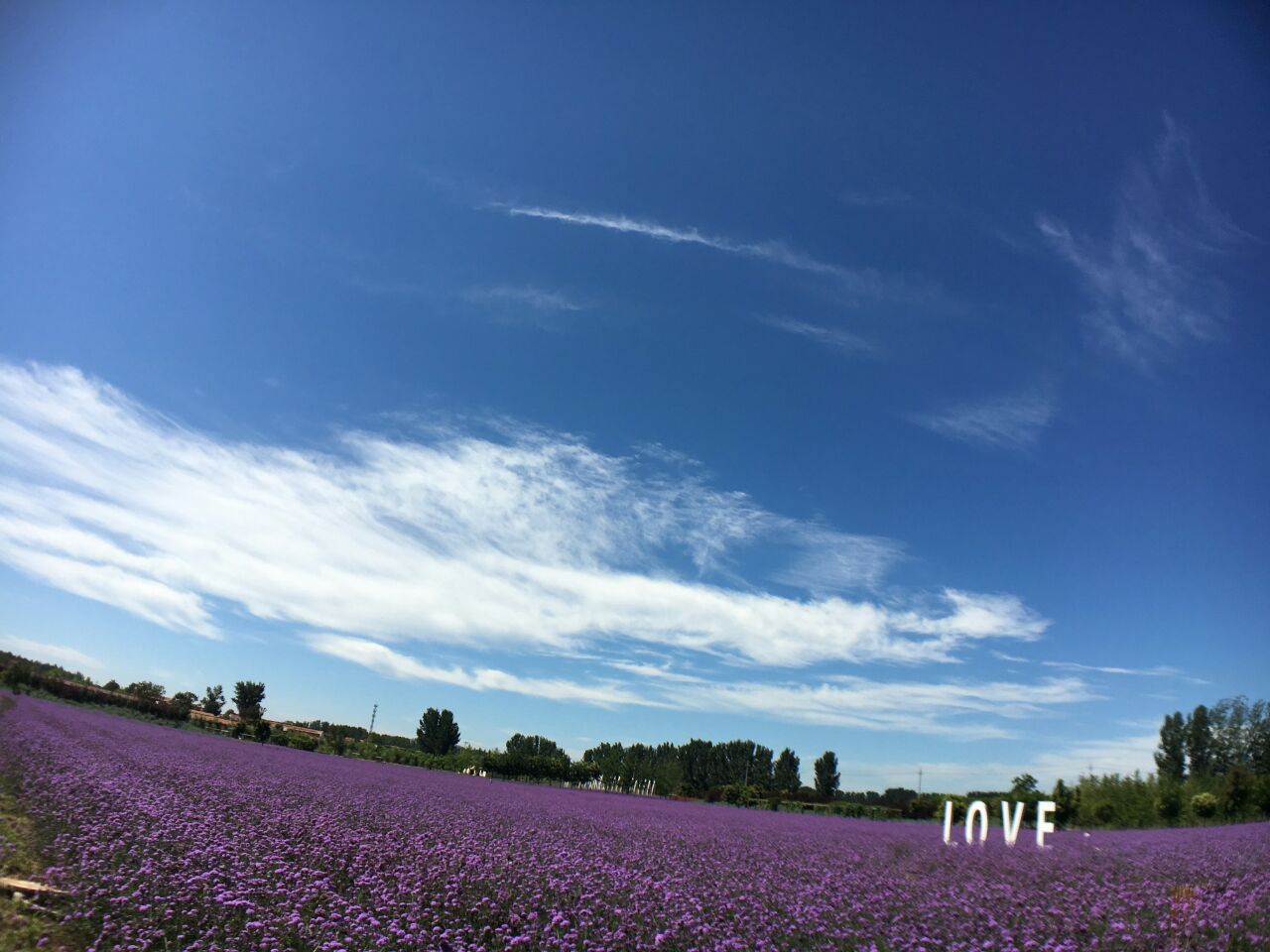 紫雲水岸香草園