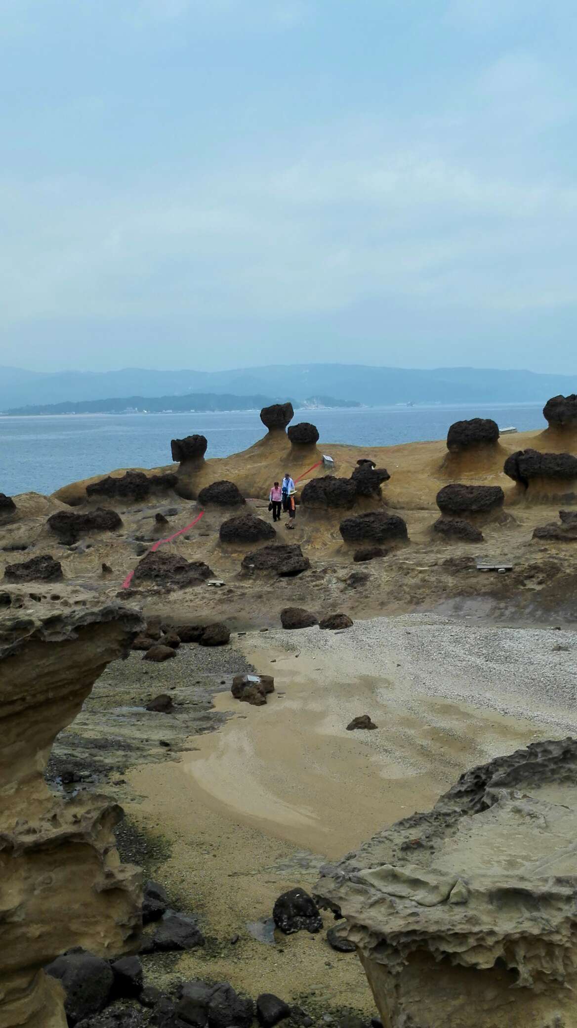 台北野柳地质公园 阴阳海 黄金瀑布 九份老街 猴硐一日游【台北市区