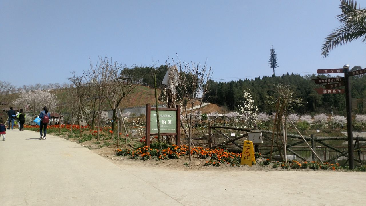 绵阳盛世樱花悠乐谷