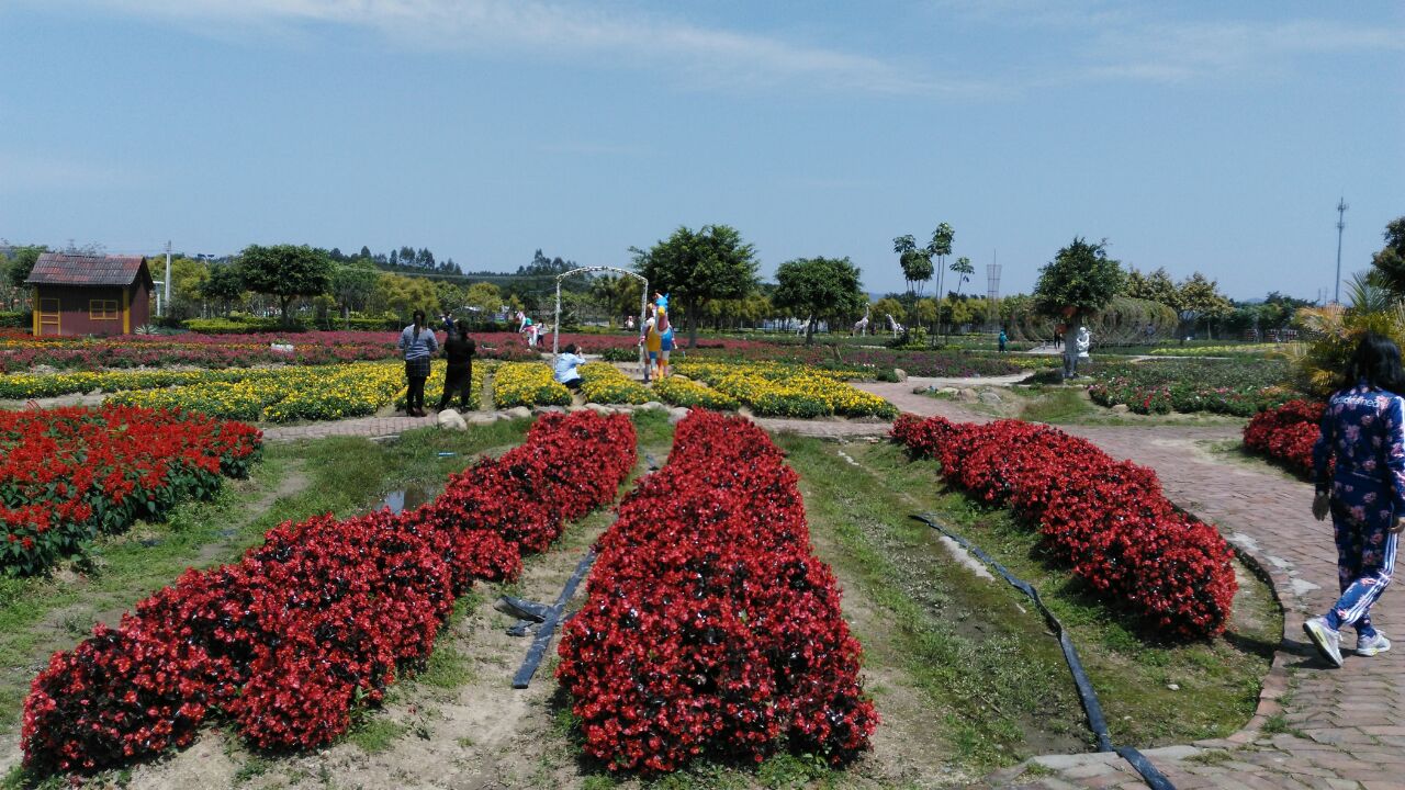 广州花都香草乐园图片