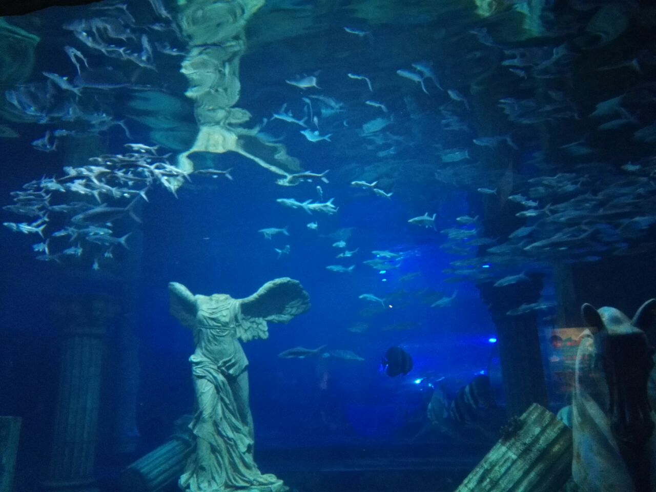 张家港梦幻海洋王国