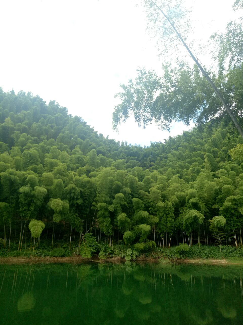 光华安纳溪湖博望山图片