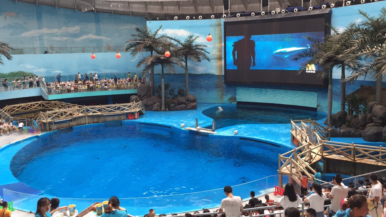 成都成都海昌極地海洋公園好玩嗎,成都成都海昌極地海洋公園景點怎麼