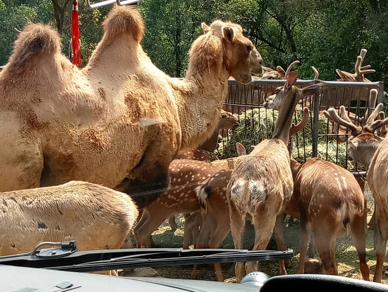 乐和乐都主题乐园