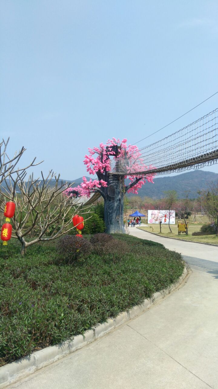 天适樱花悠乐园