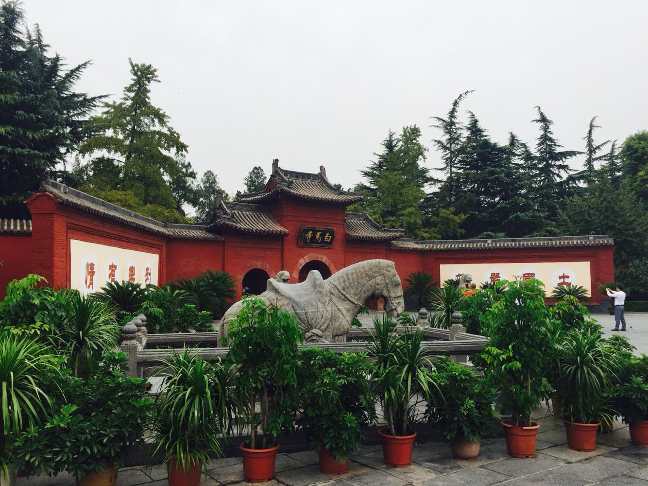 洛陽龍門石窟 白馬寺 洛陽博物館一日遊【純玩 文化之旅】