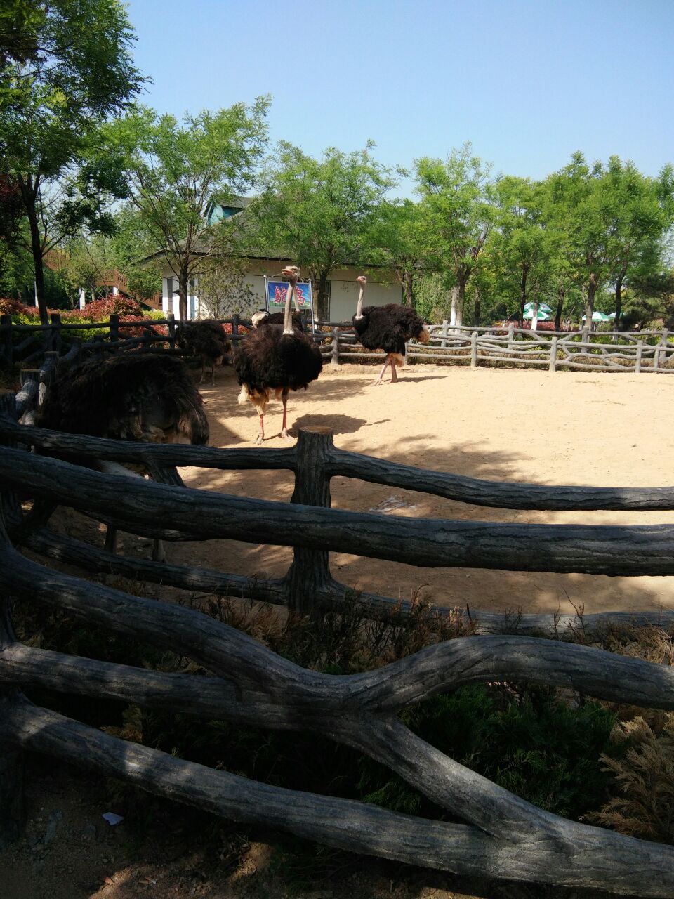 臨沂動植物園