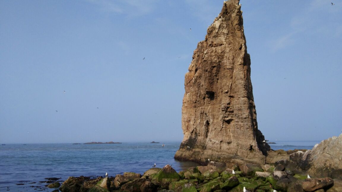 榮成海驢島好玩嗎,榮成海驢島景點怎麼樣_點評_評價【攜程攻略】