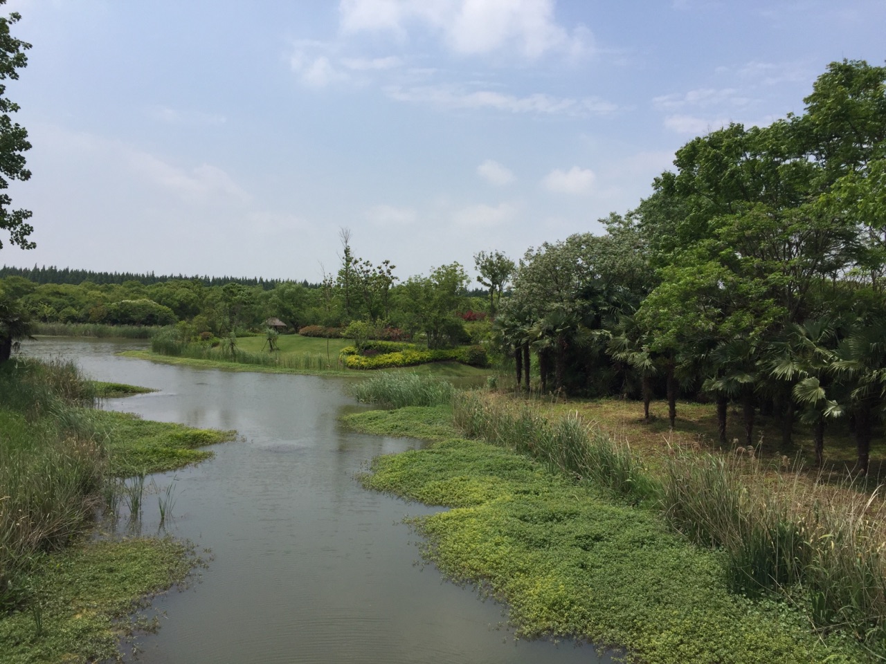 【攜程攻略】崇明區東平國家森林公園景點,公園挺大,到處都是樹木.