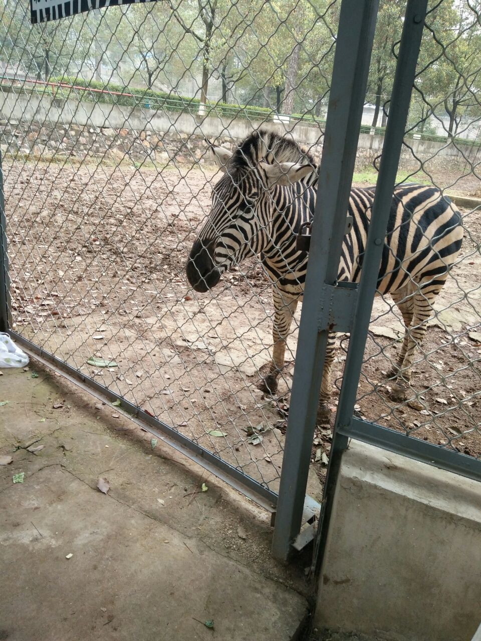 【攜程攻略】武漢九峰森林動物園景點,還不錯吧,但就是感覺氣味比較大