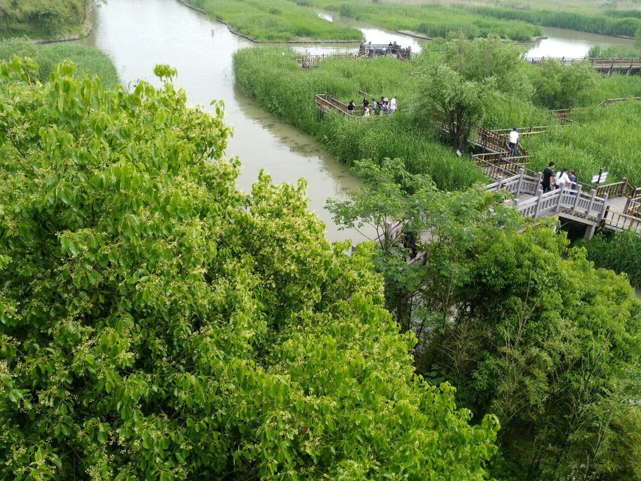 德清下渚湖溼地公園景點,不錯的,比莫干山風景區好,船上有免費的講解