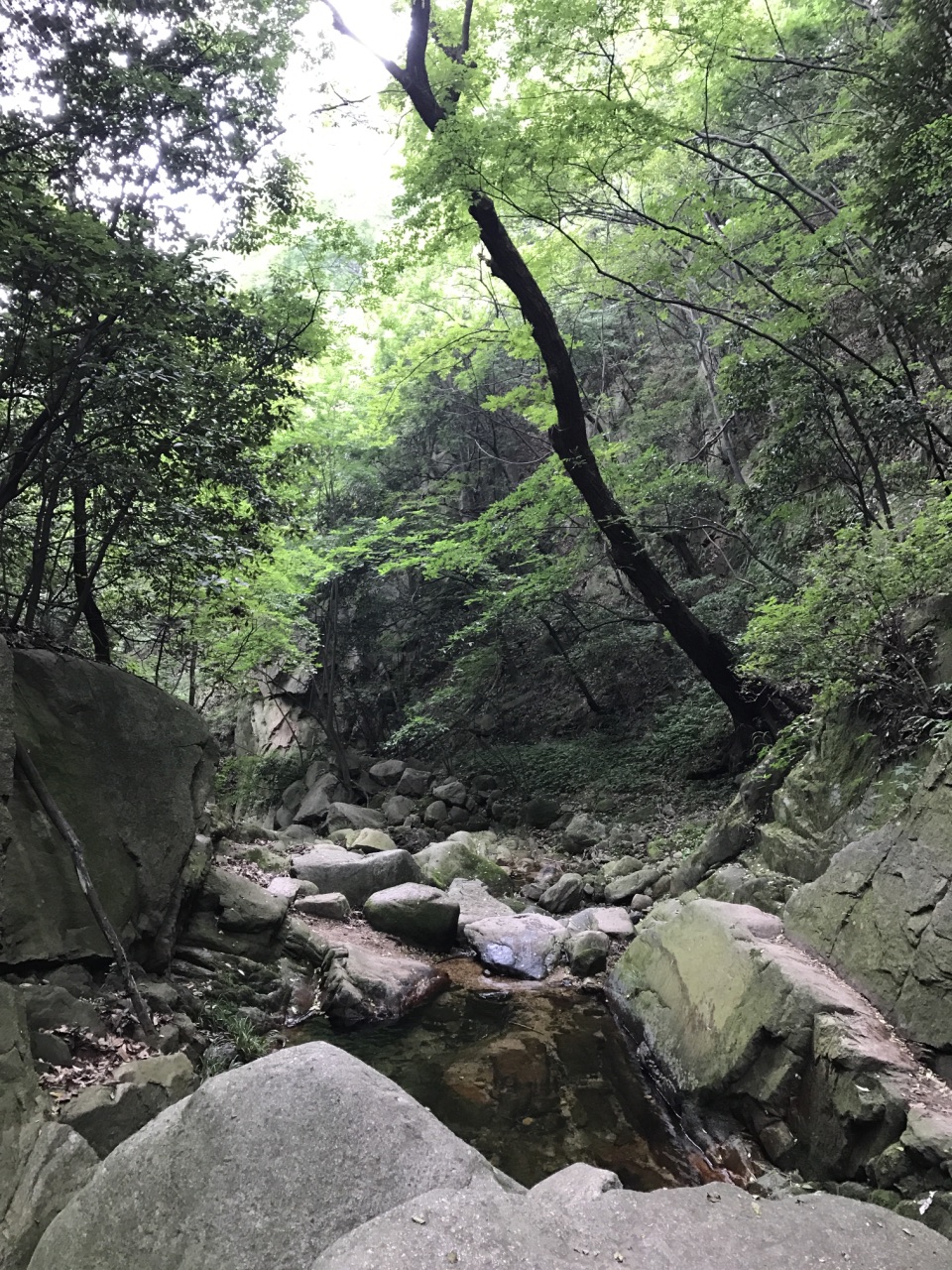 鸡公山风景区