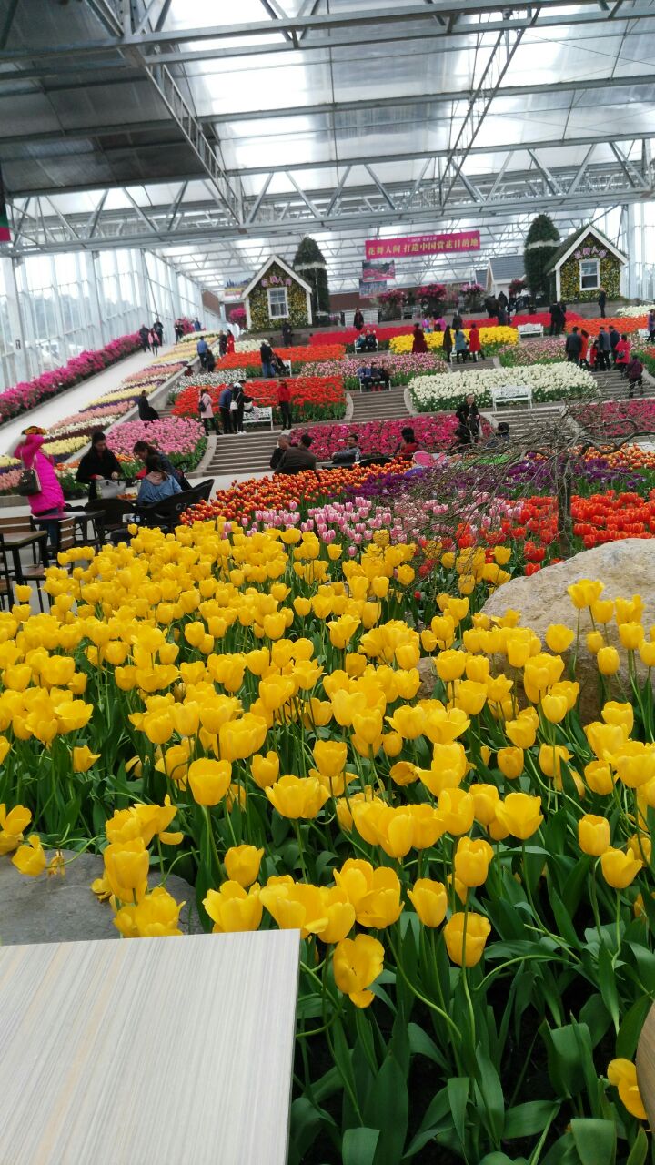 新津花舞人间好玩吗,新津花舞人间景点怎么样_点评_评价【携程攻略】