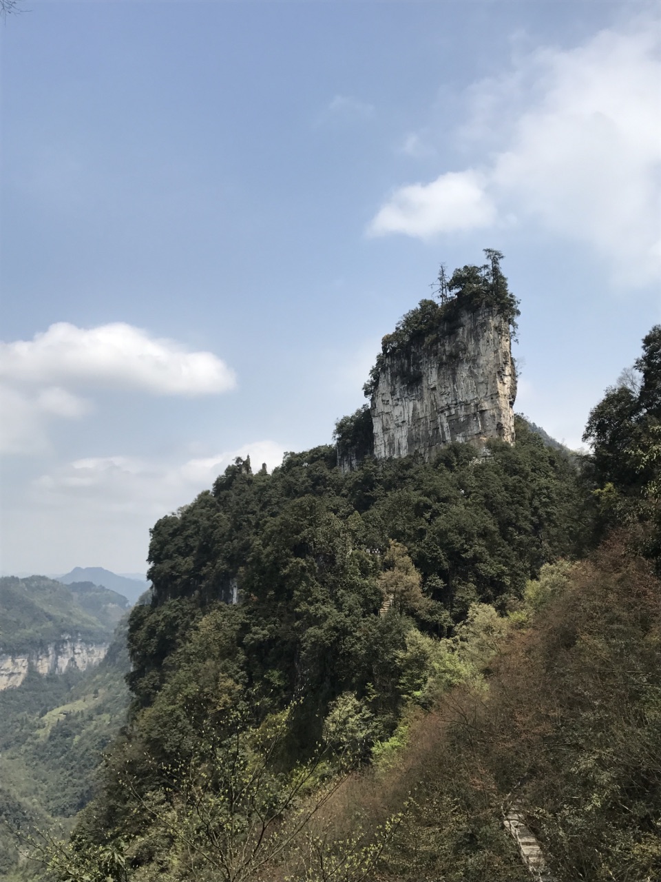 大方油杉河图片