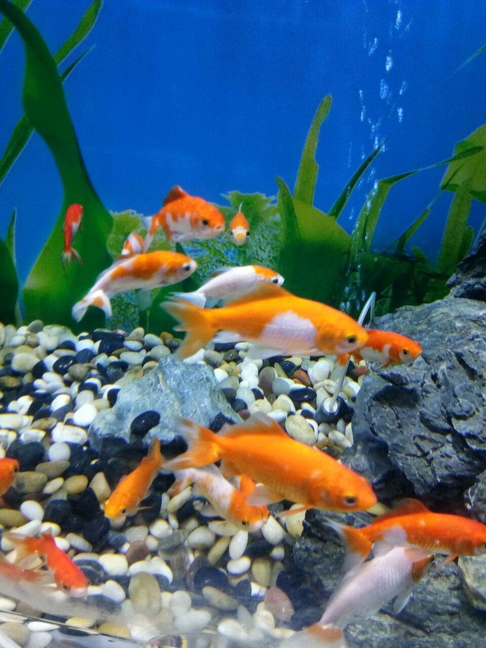 潍坊欢乐海底世界