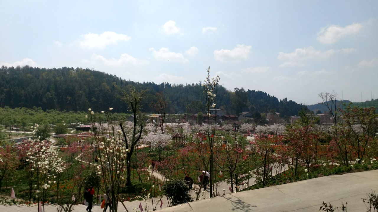 绵阳盛世樱花悠乐谷