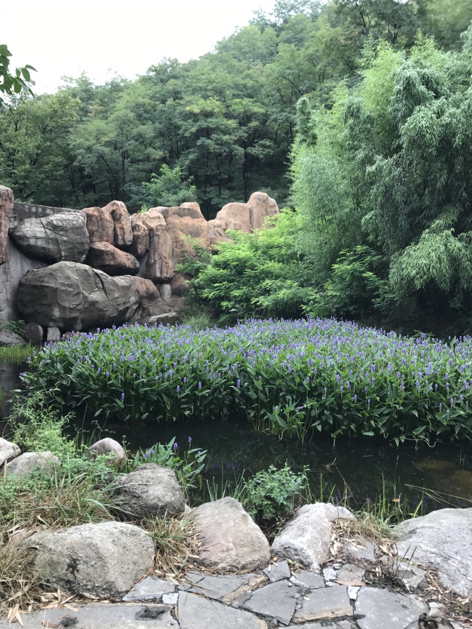 魯山國家森林公園