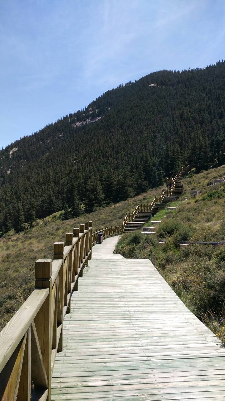 贺兰山国家森林公园