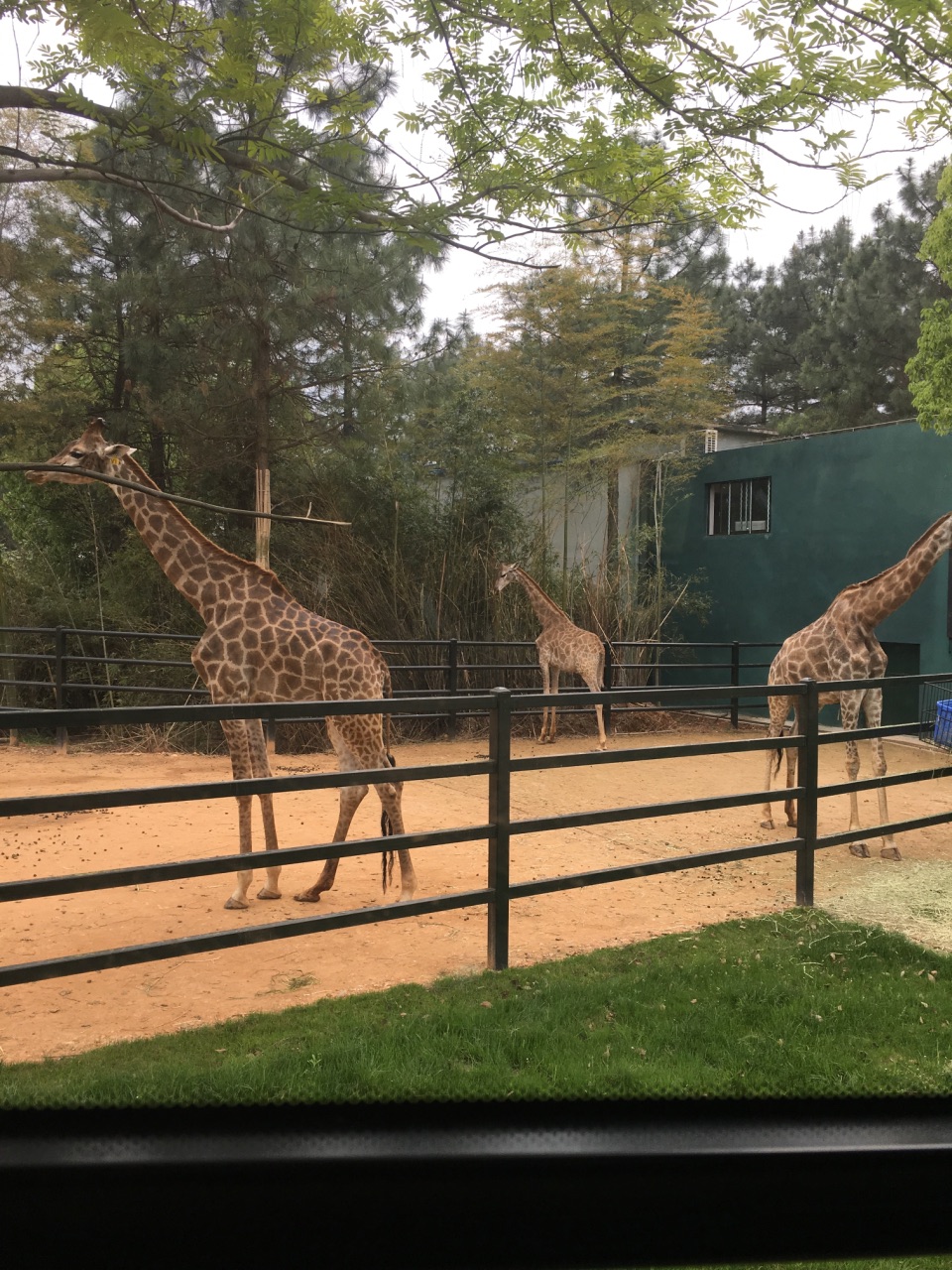 長沙生態動物園