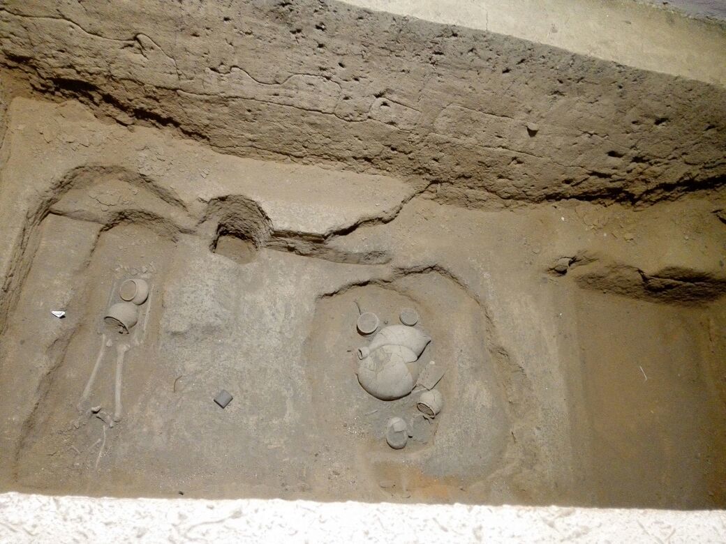 西安秦始皇兵马俑博物馆 扁鹊墓 华清宫一日游【亲子d线】