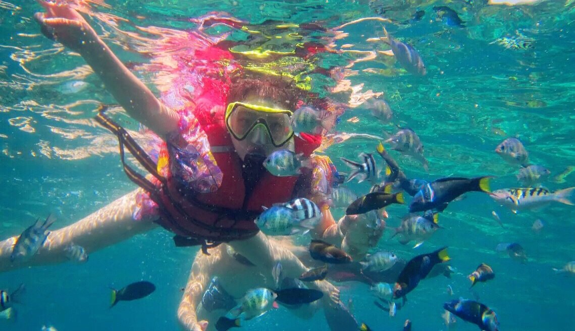 导游小冯很不错,潜水很赞,红树林太无聊了,车程很久就为看几只猴子