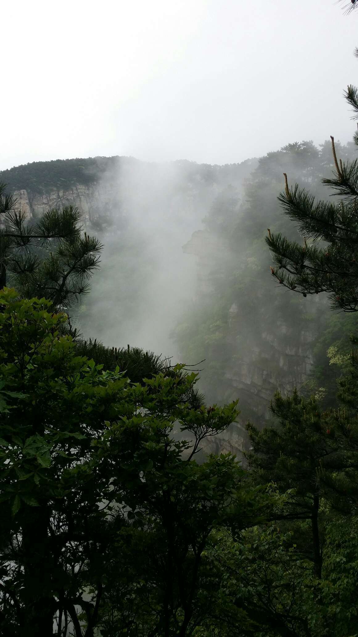 不识庐山真面目,只缘身在此山中,不错,非常好