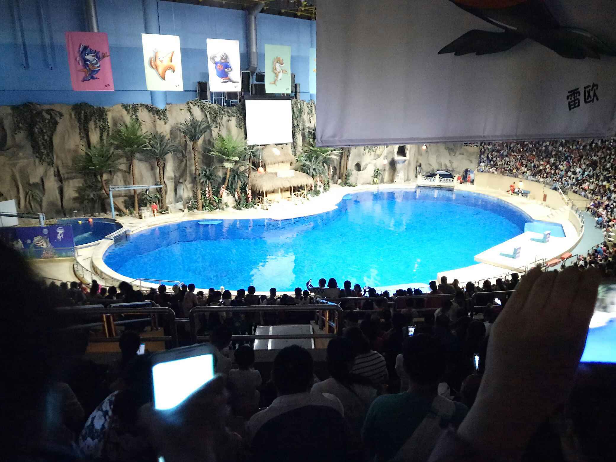 北京海洋館 北京動物園一日遊【自營 含熊貓館 天天發團】