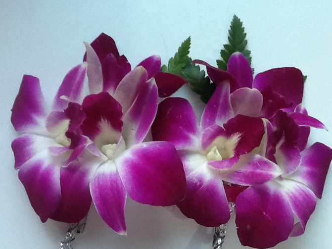 从泰航飞机上给女人发兰花说起