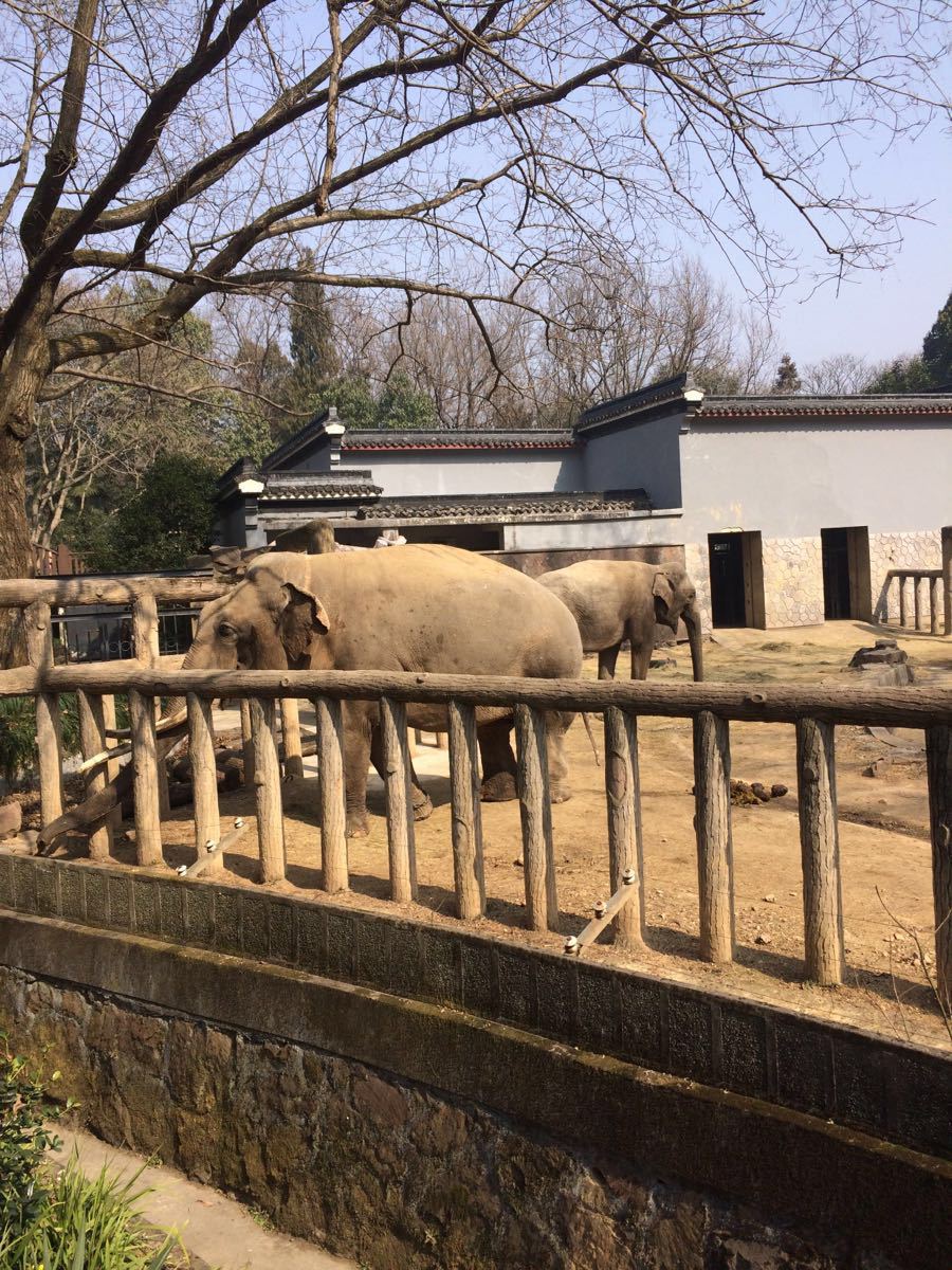 杭州動物園