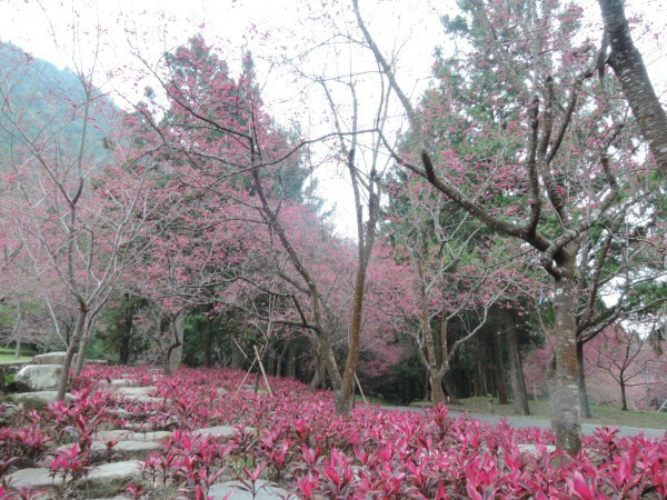 【BlackCat】初見“台灣”—西線篇-旅人制造