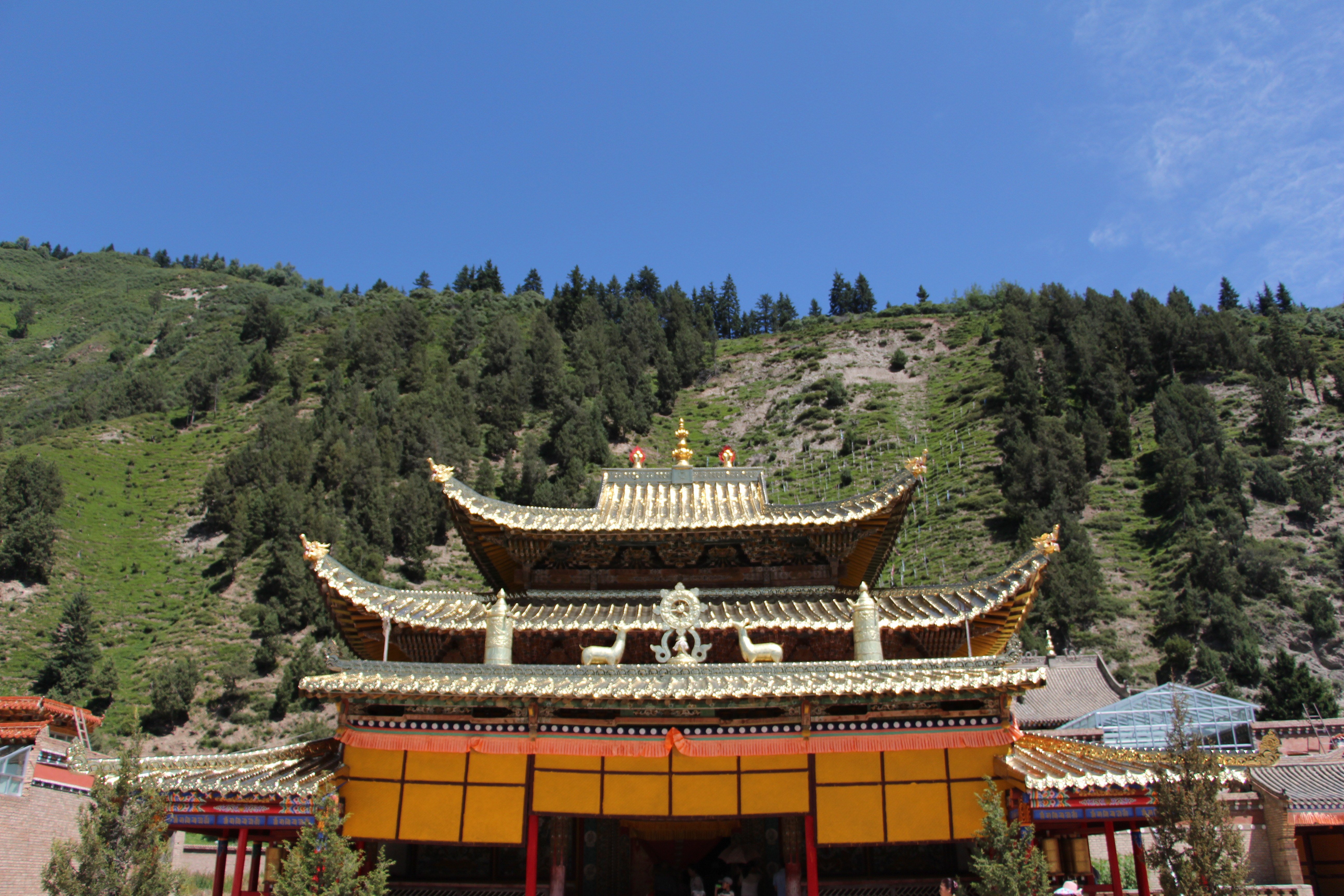 卓尼县寺院简介-甘南藏族自治州人民政府