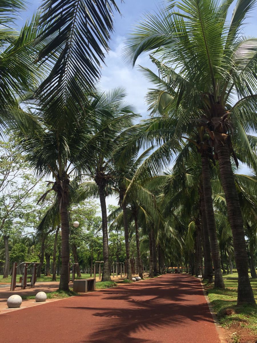 2023万绿园游玩攻略,不要门票,没人～一个人去溜.【去哪儿攻略】