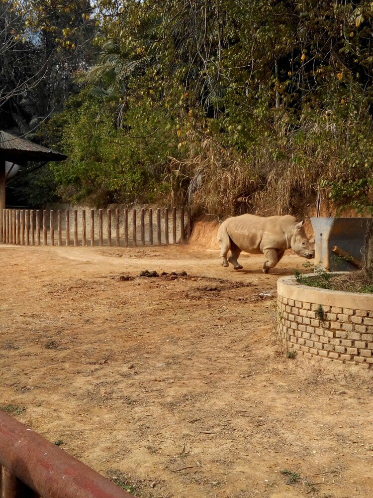 2019福州動物園_旅遊攻略_門票_地址_遊記點評,福州旅遊景點推薦 - 去